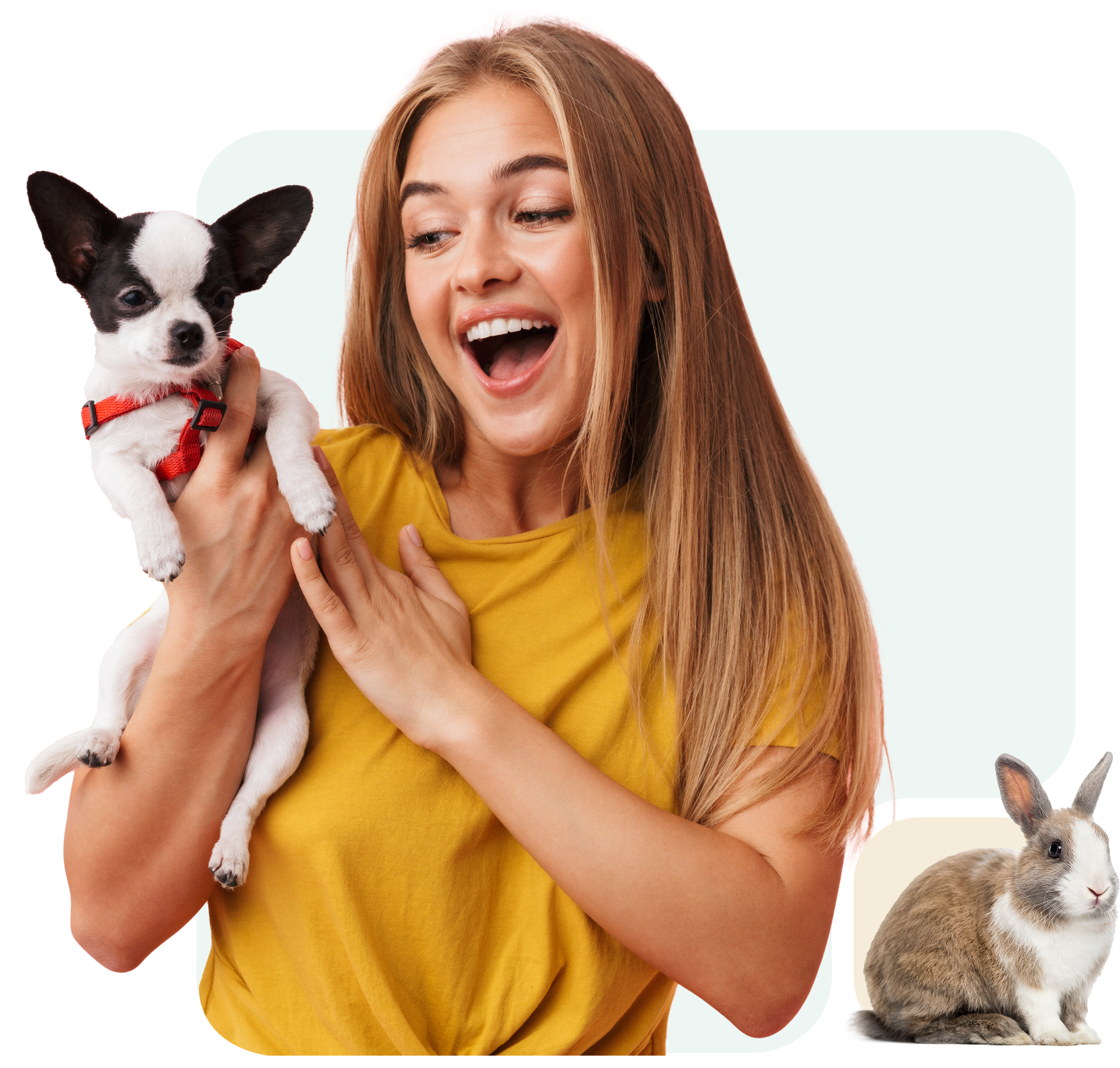 Woman happily holding a small dog with a rabbit nearby